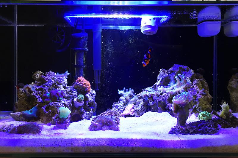 Fluval Edge 6G Thumbnail