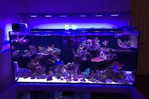 Red Sea Reefer 350 Thumbnail