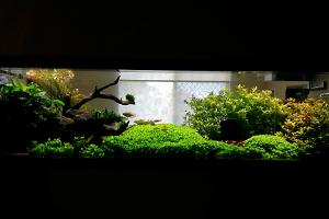 Display Tank Thumbnail