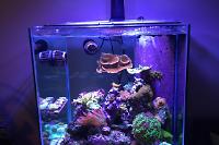 My Aquarium on Dec 25, 2016