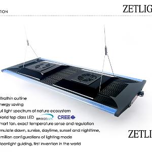 Zetlight Light