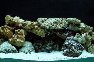 Aandenberg Reef Thumbnail