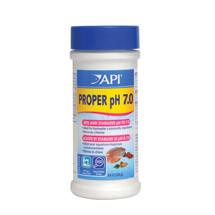 API Proper PH