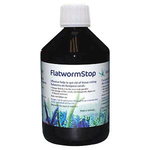 Korallen-Zucht Flatworm Stop