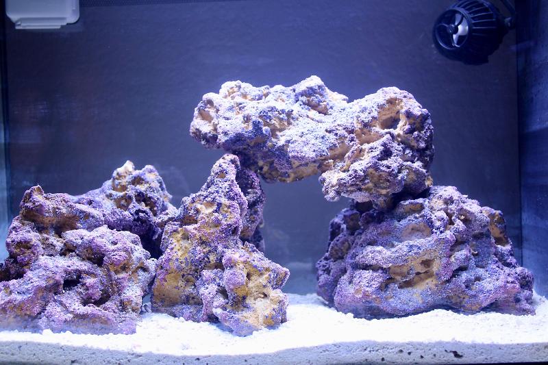 Nano Reef Thumbnail