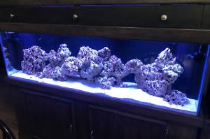 125 Reef Thumbnail