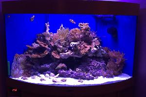 My  Saltwater Corner (summped) Thumbnail