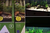 My Aquarium on Feb 12, 2017