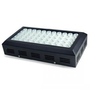 Apollo Reef LED