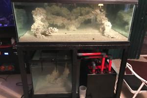 180 Gallon Display on Feb 24, 2017