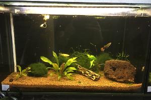 My Aquarium nr.3 Thumbnail