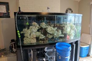 170 Gallon Reef on March 8, 2017