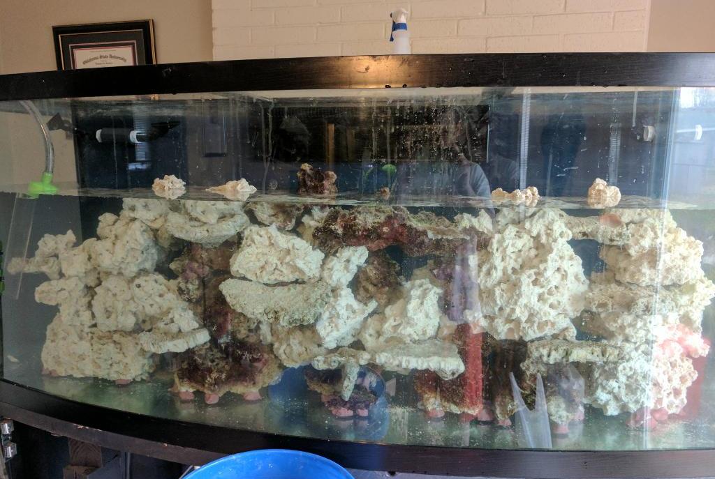 170 Gallon Reef on March 8, 2017