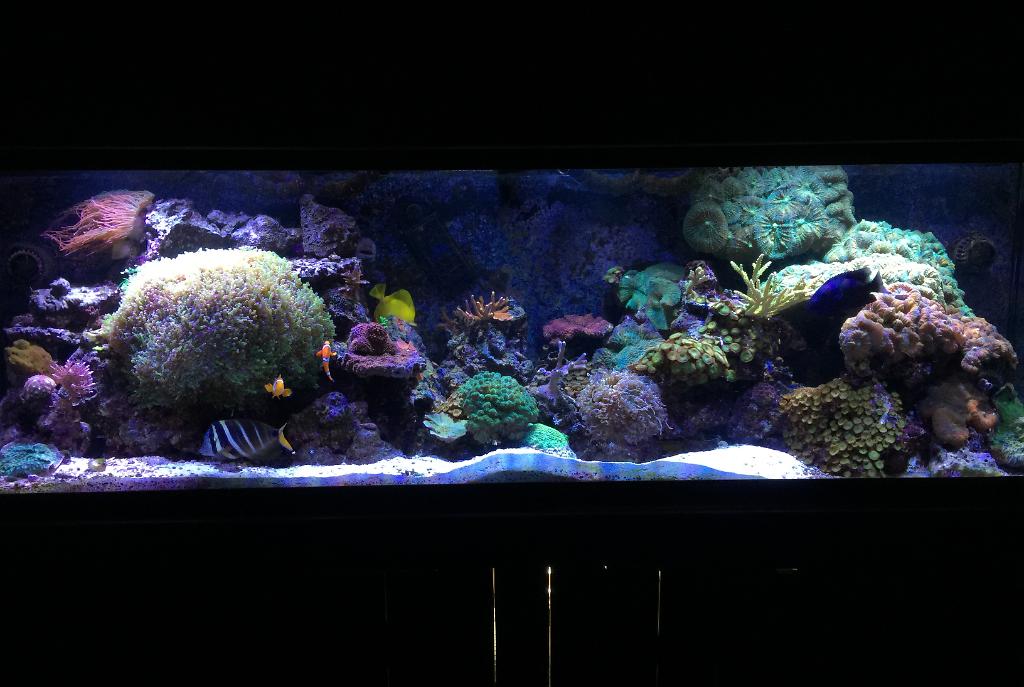 Children's Aquarium on March 18, 2017