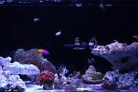 FTS March 19, 2017 (New Scape)