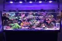 Jays Office 80Gallon on Apr 12, 2017