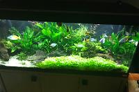 My Aquarium on May 8, 2017