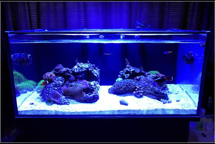 Fathom 60g Reef on May 19, 2017