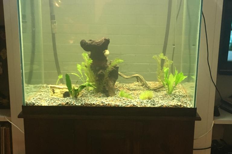 135 Gal tank Thumbnail