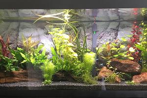 Fluval Main Thumbnail