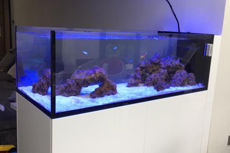 Jasons Peninsular Reef Aquarium Thumbnail