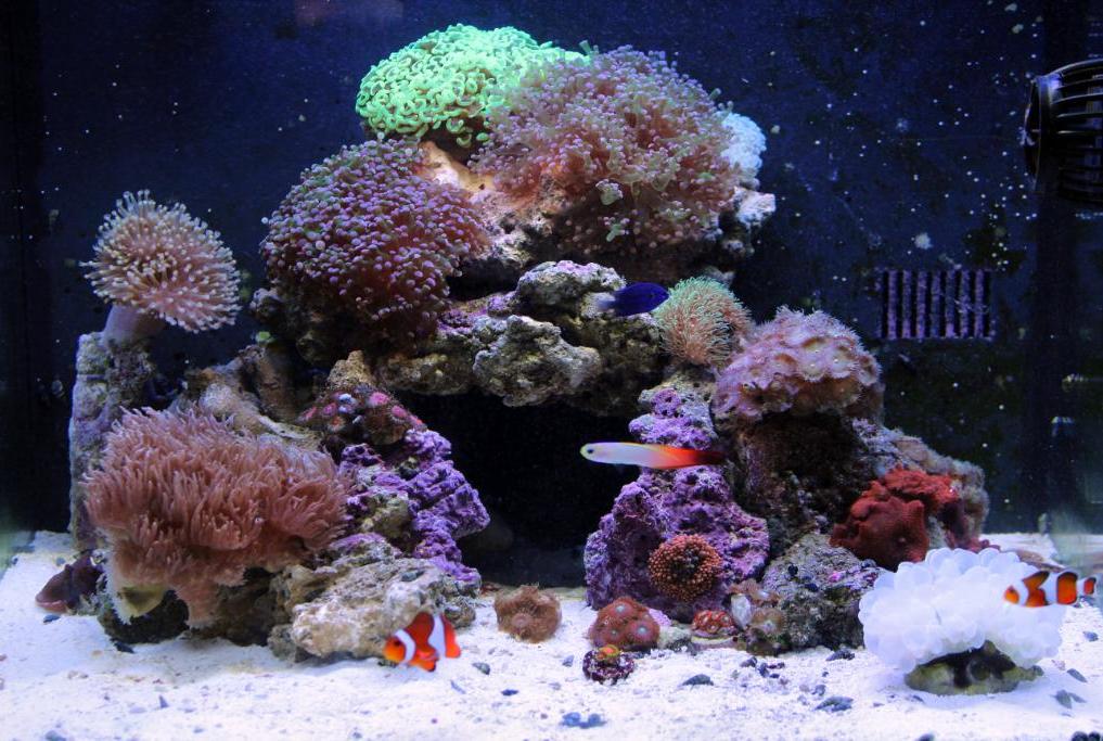 FTS July 12, 2012