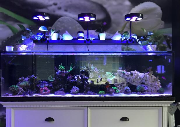 Main Tank on Jul 28, 2017