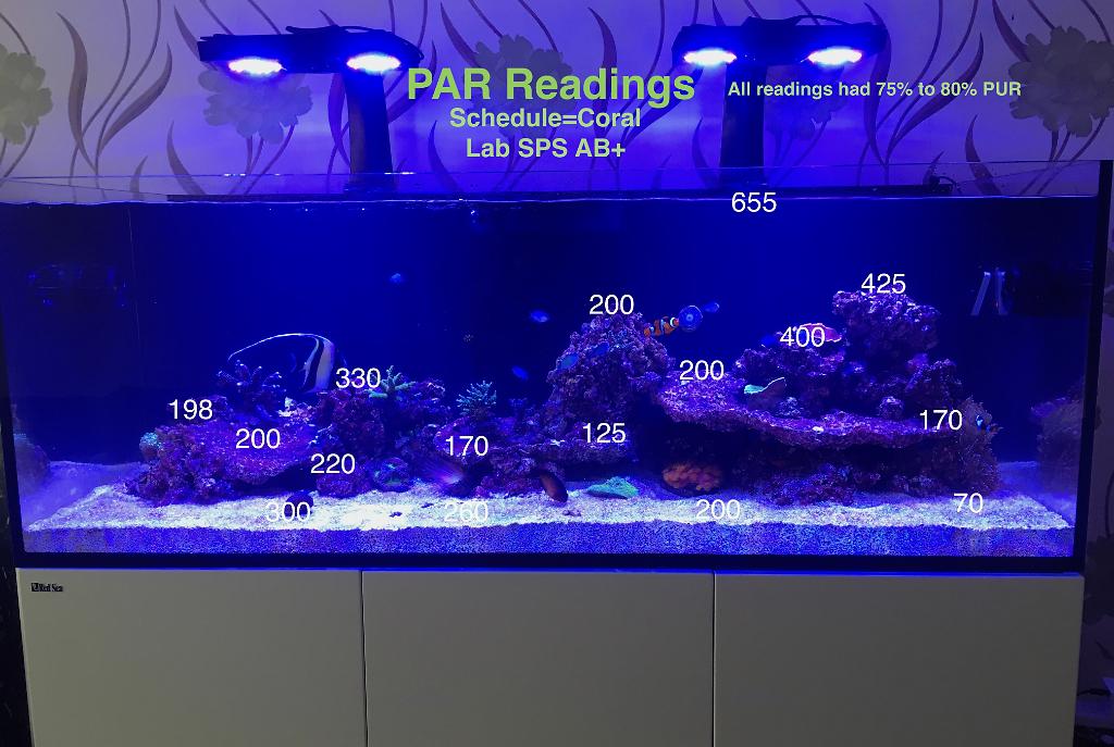 PAR Readings