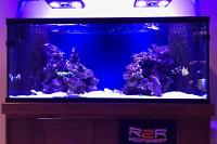 My Aquarium on August 19, 2017