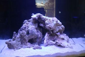 Innovative Marine 40 Gallon Fusion Thumbnail