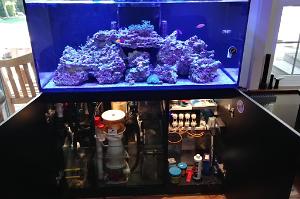 Red Sea Reefer 350 Thumbnail