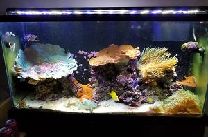 75 gal. Thumbnail