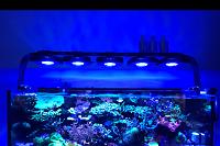 Jays Office 80Gallon on Sep 22, 2017