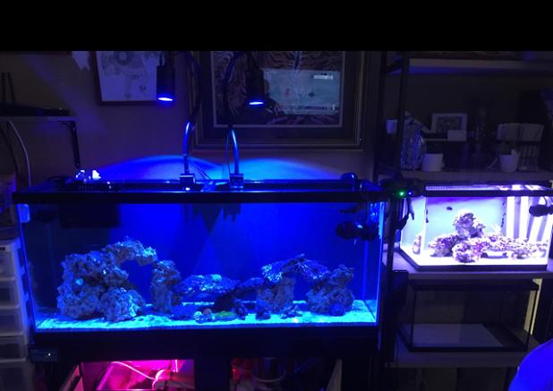 55 gal on Nov 30, 2017