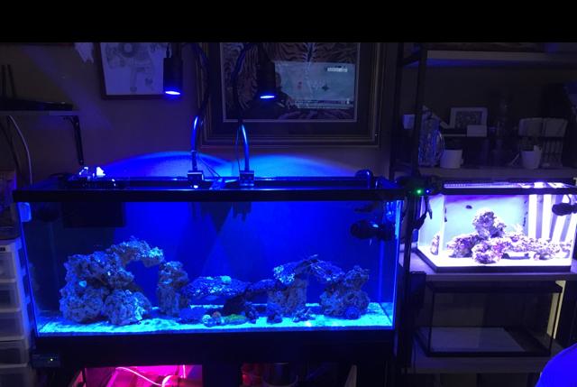 55 gal on Nov 30, 2017