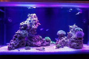 Fluval M90 Thumbnail