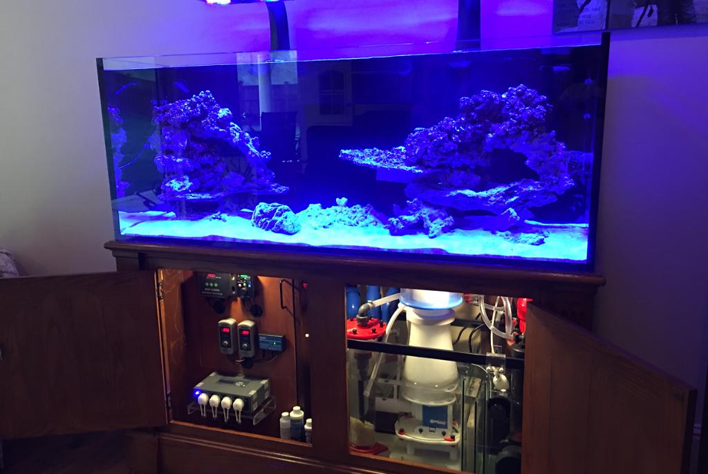 My Aquarium on Dec 24, 2017