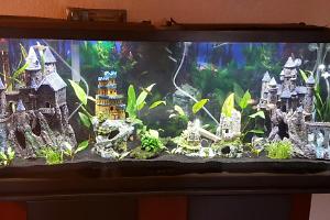 55 Gal Aquarium Thumbnail