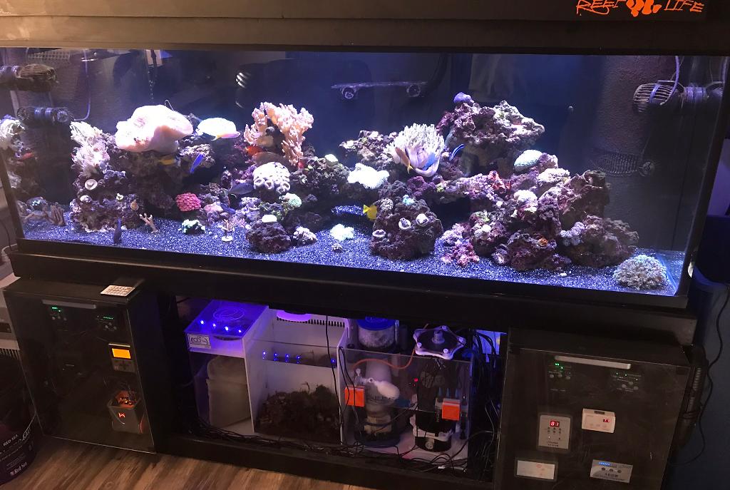 180 Reef on January 20, 2018