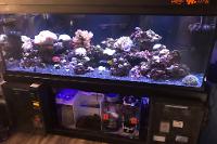 180 Reef on January 20, 2018