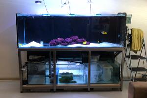 Display Tank - lounge on Apr 15, 2018