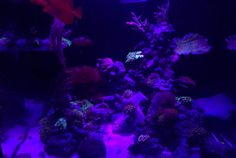 65g Cube  on Apr 25, 2018