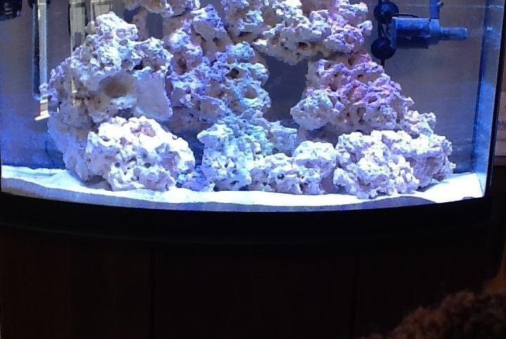 Frag Tank FTS April 20, 2013