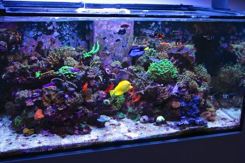 Luke's SPS 500L Thumbnail