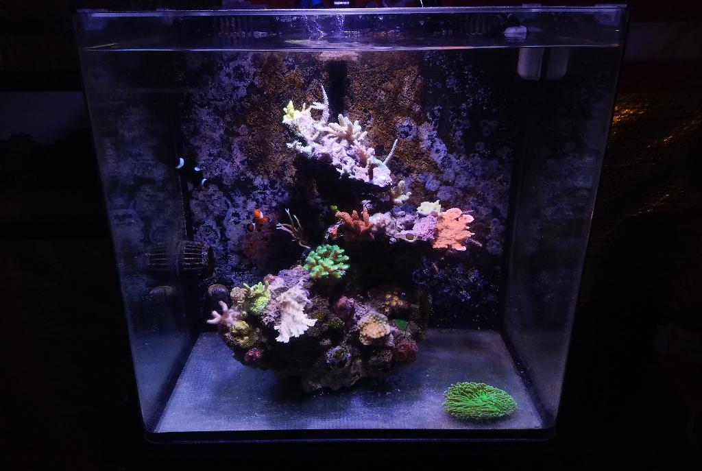 30 Gallon Testing Build on May 23, 2018