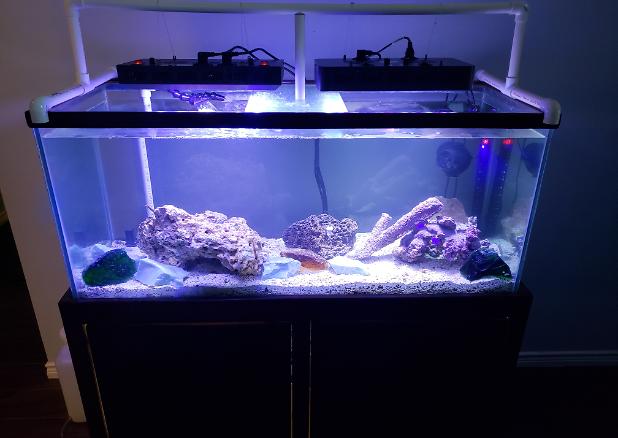 75gal Marine  on May 30, 2018