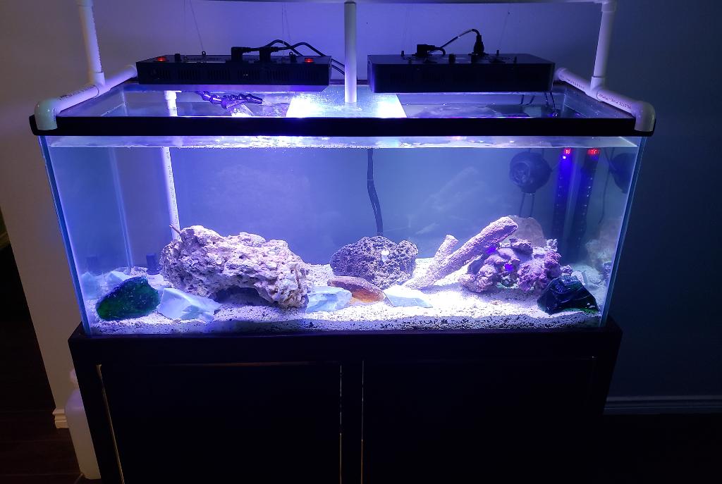 75gal Marine  on May 30, 2018