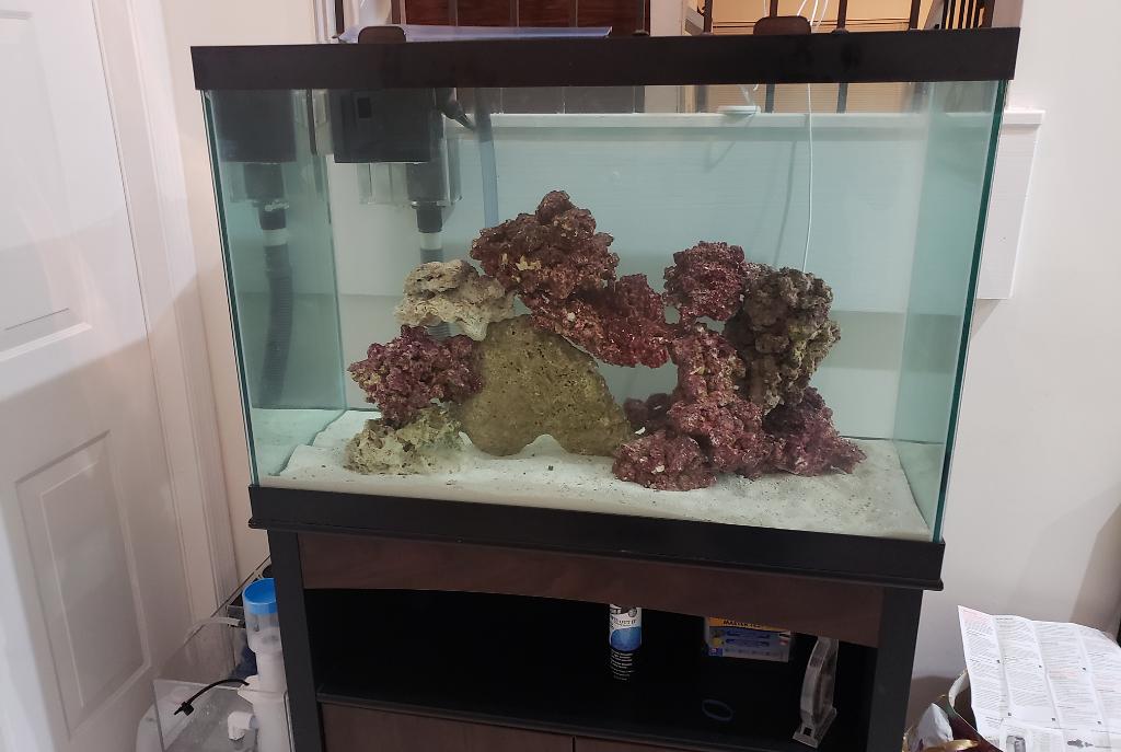 Reef 65gallon Tank on May 31, 2018