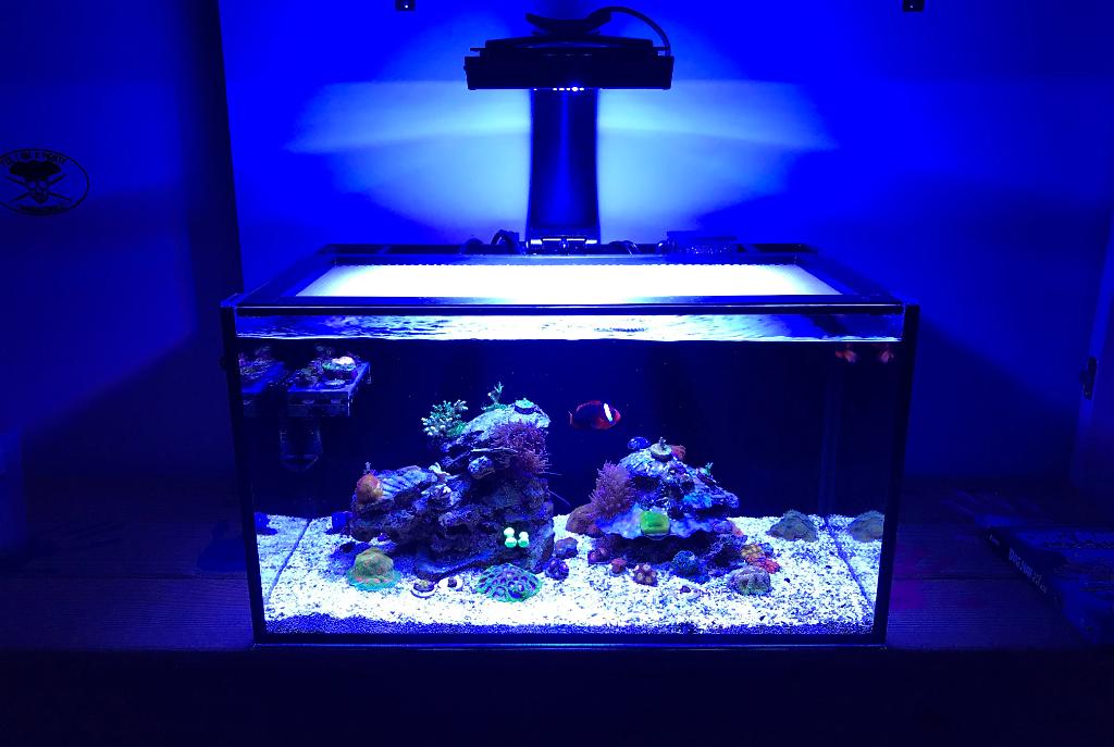 Fathom 20g Reef on June 19, 2018