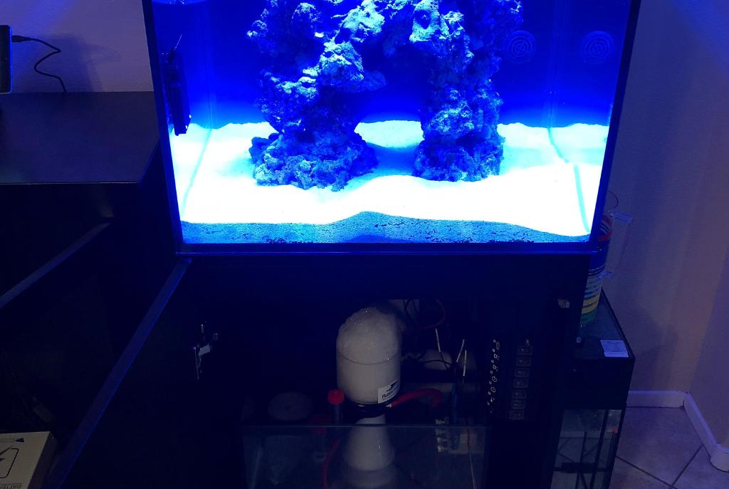 My Aquarium on July 23,2018